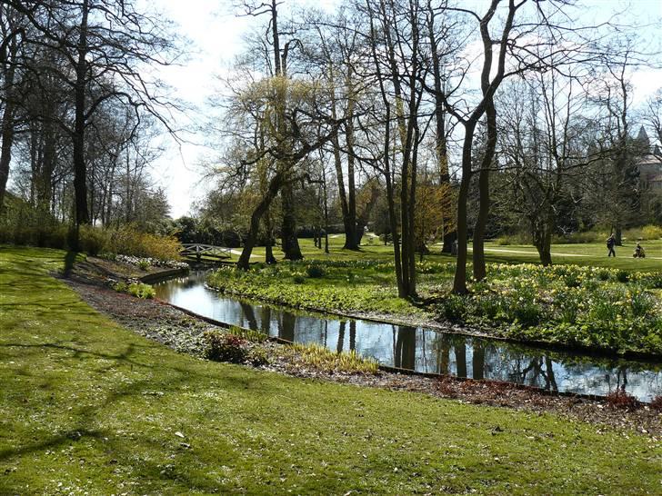 Digi pics - Random - Borgvold i Viborg billede 1