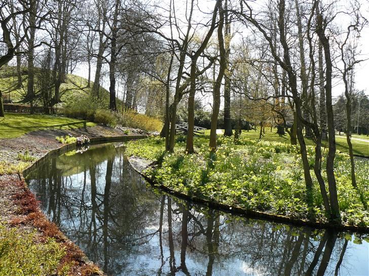 Digi pics - Random - Borgvold i Viborg billede 3