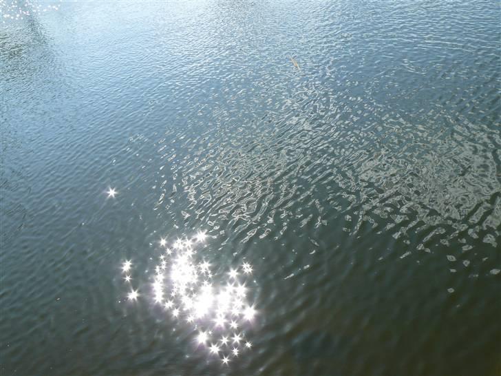 Digi pics - Random - Borgvold i Viborg billede 4