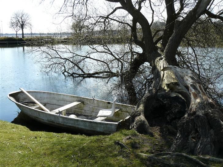 Digi pics - Random - Borgvold i Viborg billede 6