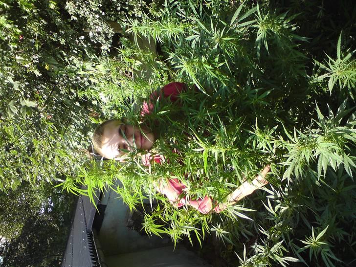 Lidt sjove billder billede 24