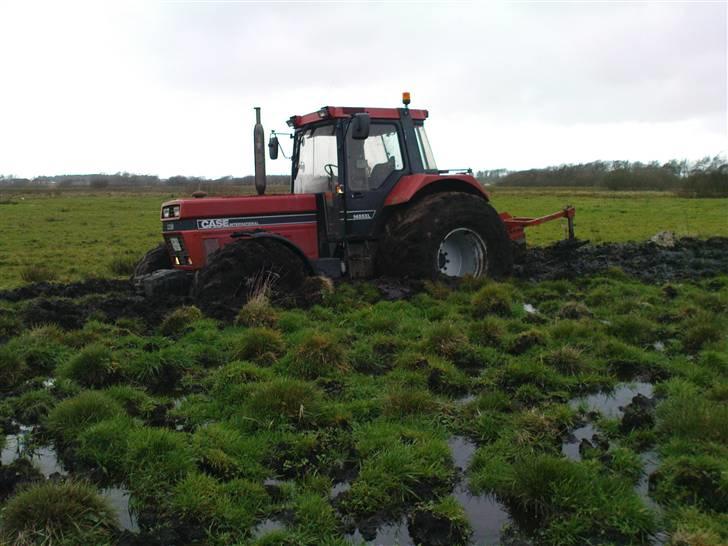 Lidt billeder fra mit arbejde - Mester skulle lige ud og plove til nogle trær billede 47