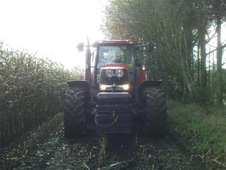 Lidt billeder fra mit arbejde billede 1