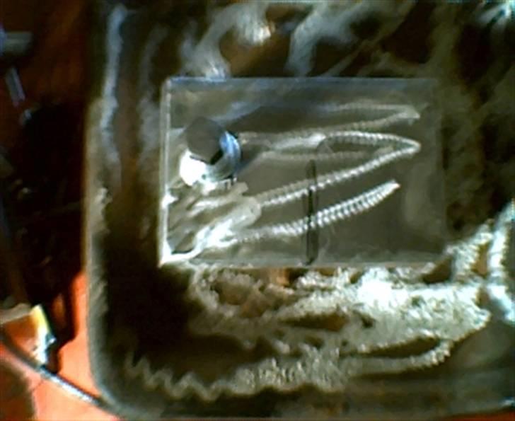 Min havetraktor med turbo - Her er vand beholderen som jeg er ved at lave er også ved at leve den til olie i samme stil billede 29