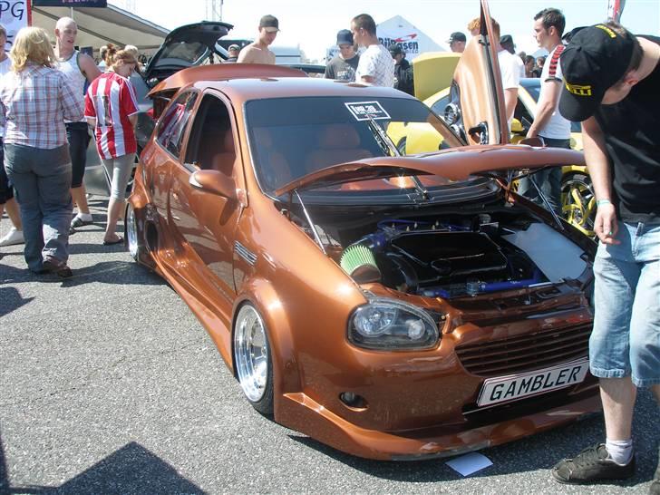 Billeder af forskellige biler fra DHB 08 billede 14