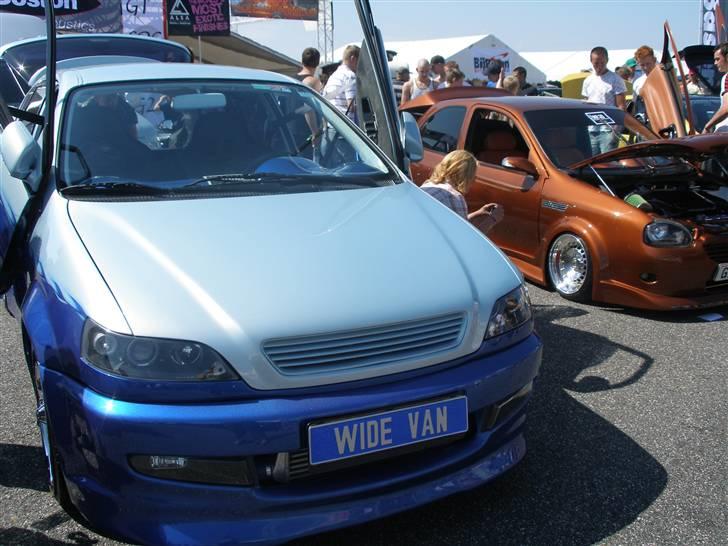 Billeder af forskellige biler fra DHB 08 billede 15