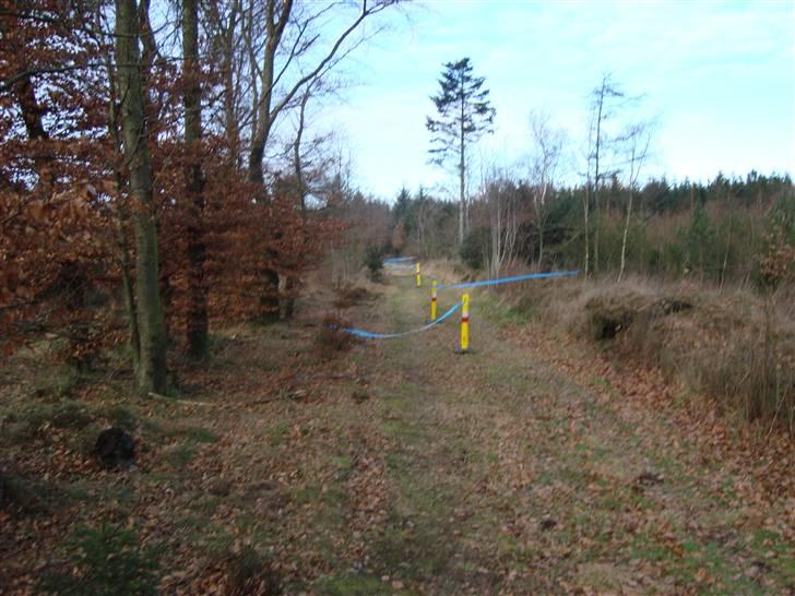 Posteløb billede 24