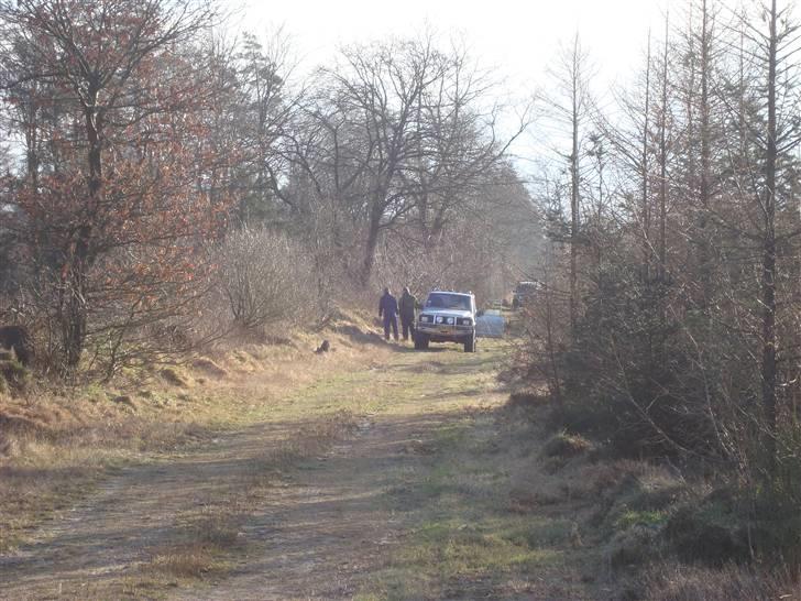 Posteløb billede 51