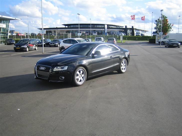 Audi A5 - lidt gennem tiden - Her er bilen netop kommet hjem fra sadelmager, og har været i DK i ca. 14 dage. billede 11