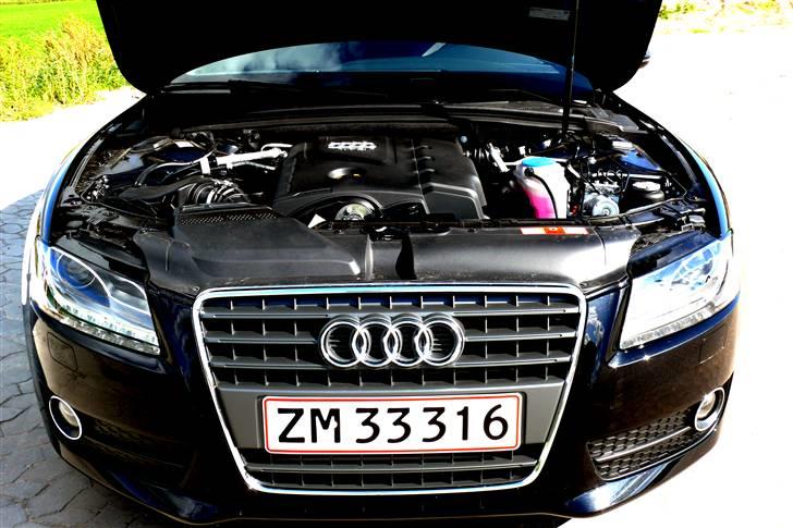 Audi A5 - lidt gennem tiden billede 28