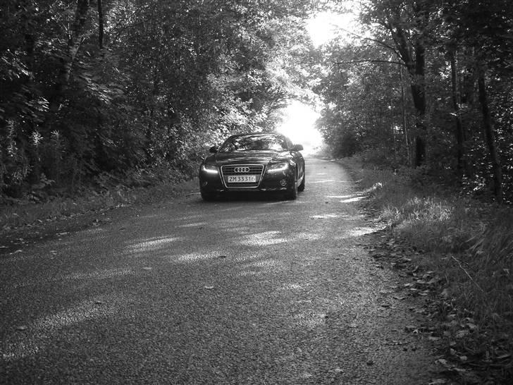 Audi A5 - lidt gennem tiden billede 49