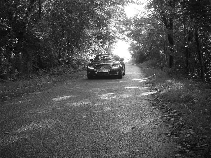 Audi A5 - lidt gennem tiden billede 51