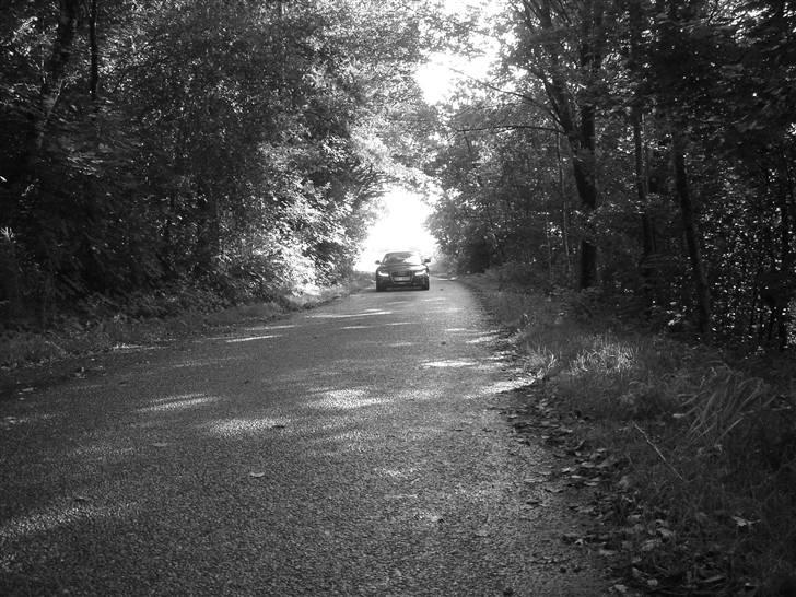 Audi A5 - lidt gennem tiden billede 52