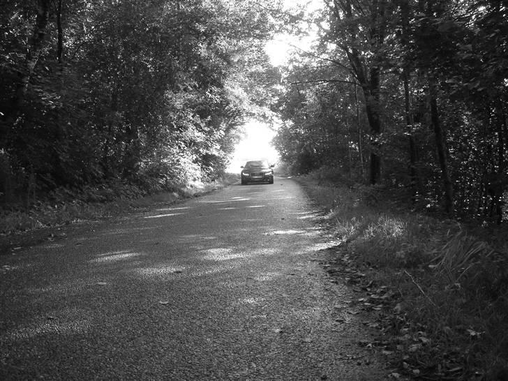 Audi A5 - lidt gennem tiden billede 54