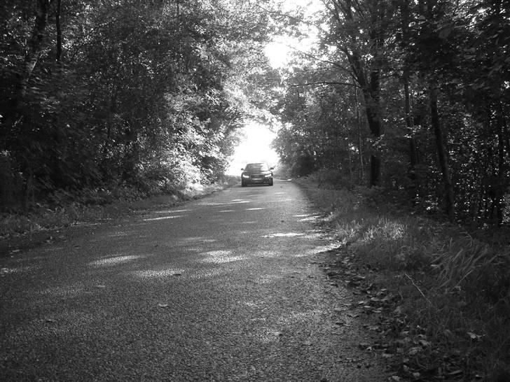 Audi A5 - lidt gennem tiden billede 55