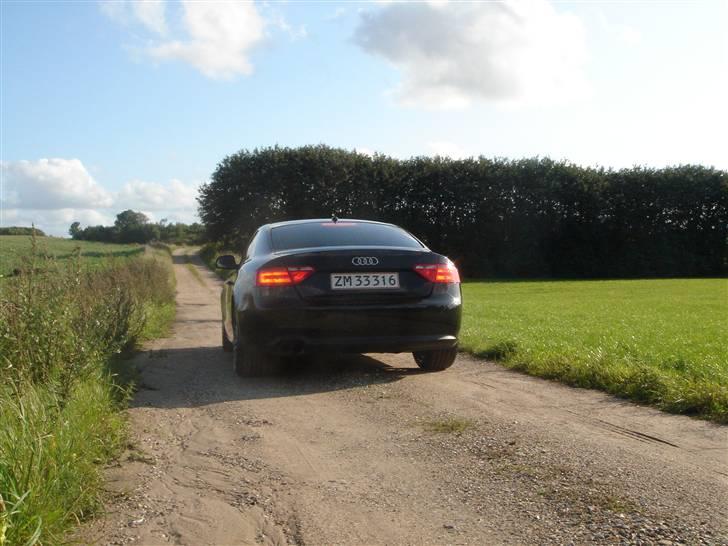 Audi A5 - lidt gennem tiden billede 65