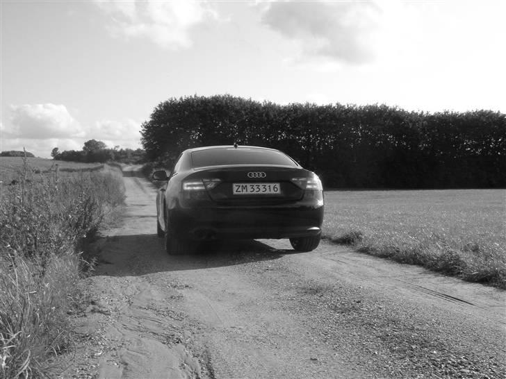 Audi A5 - lidt gennem tiden billede 66