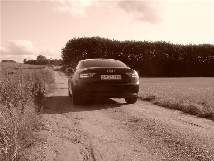 Audi A5 - lidt gennem tiden billede 67