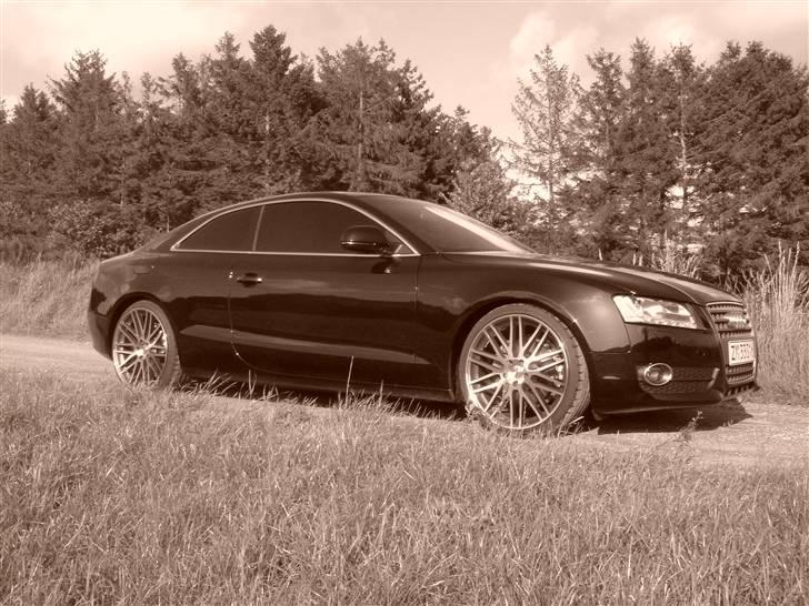 Audi A5 - lidt gennem tiden billede 73