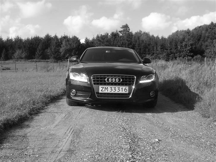 Audi A5 - lidt gennem tiden billede 77