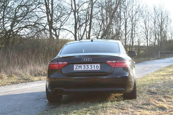 Audi A5 - lidt gennem tiden billede 98