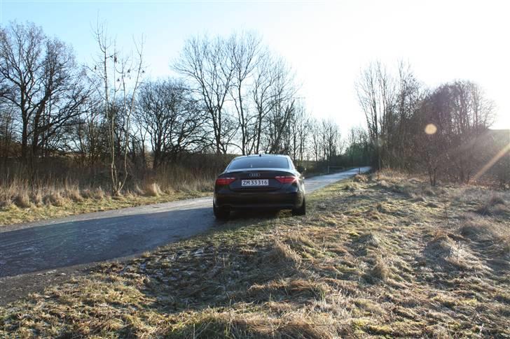 Audi A5 - lidt gennem tiden billede 102