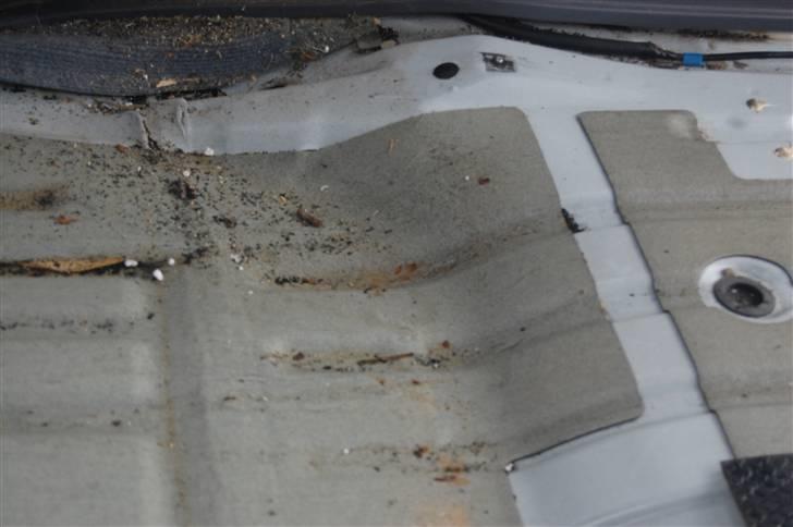 Isolering af bund billede 25