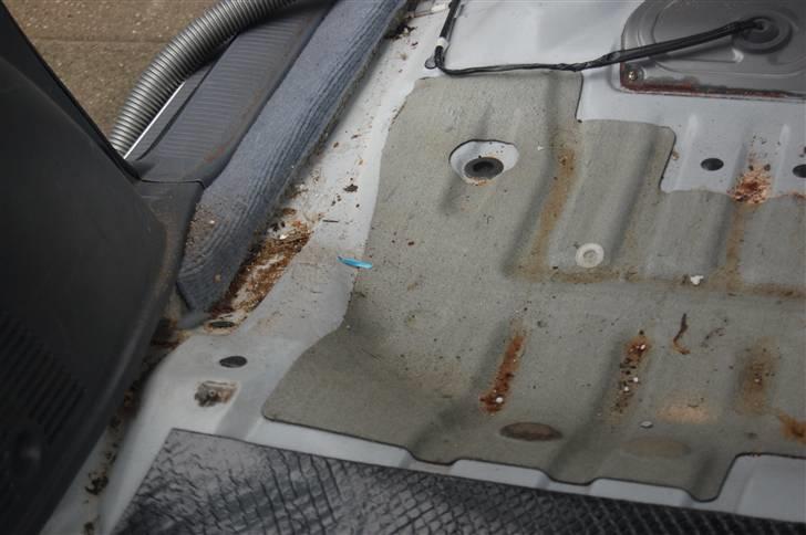 Isolering af bund billede 30