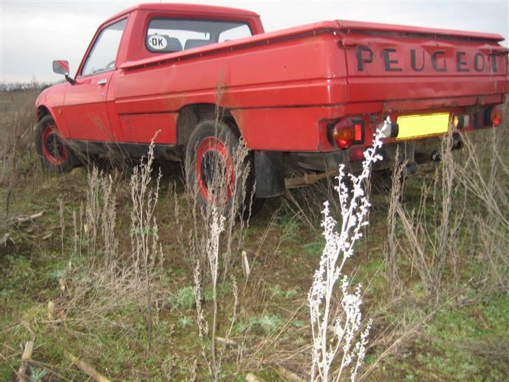 Peugeot 504 Pick-Up billede 16