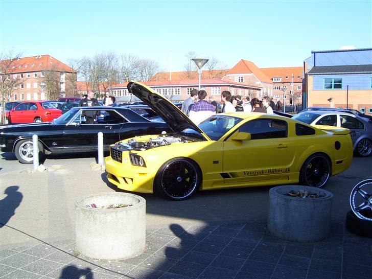 F & F, Extreme car parts & striben-esbjerg billede 1