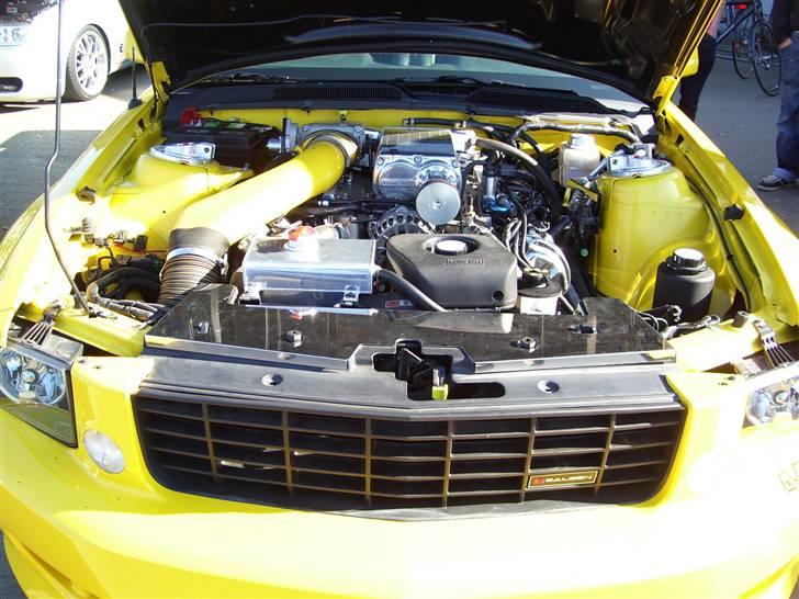 F & F, Extreme car parts & striben-esbjerg billede 15