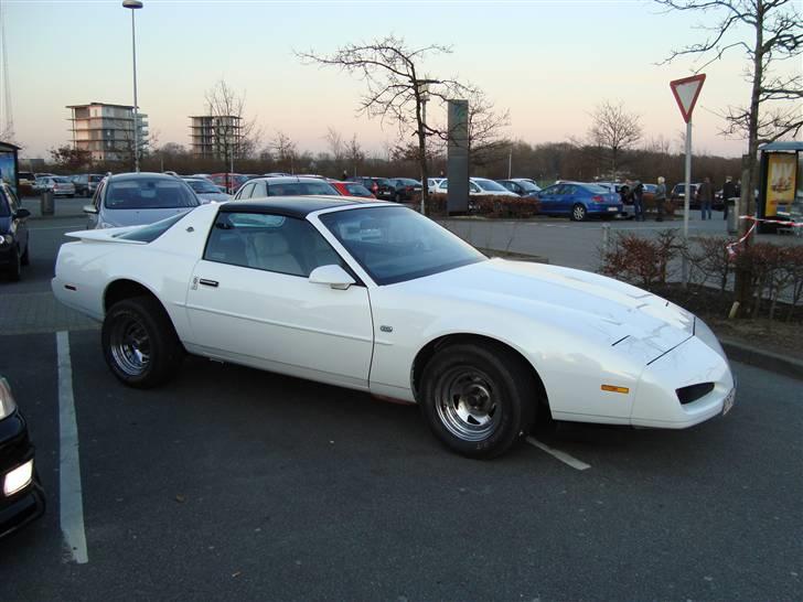 Kolding Biocenter billede 9