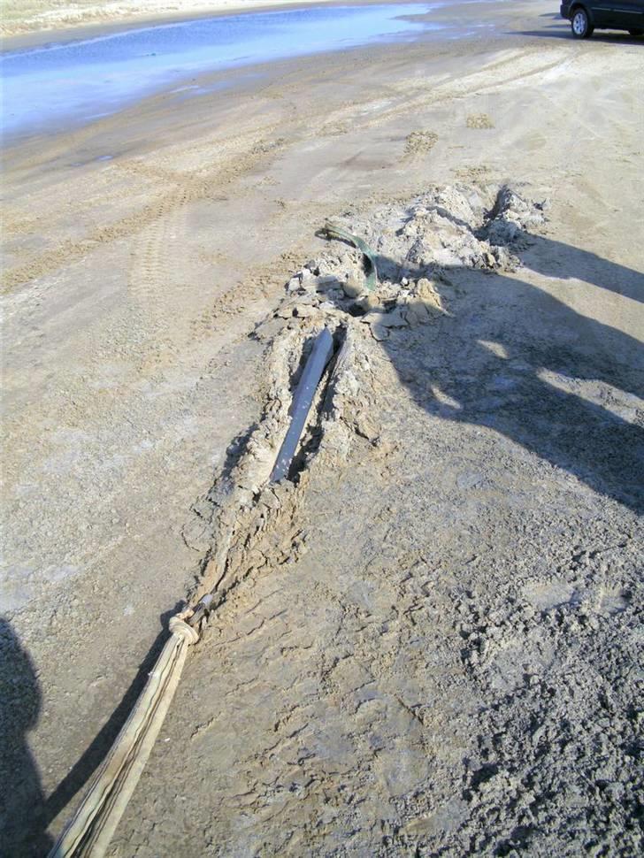 Rømø... 4x4, sol, sand og vand !! - 1 m kartoffelrække blev det til.... Hmm... billede 23