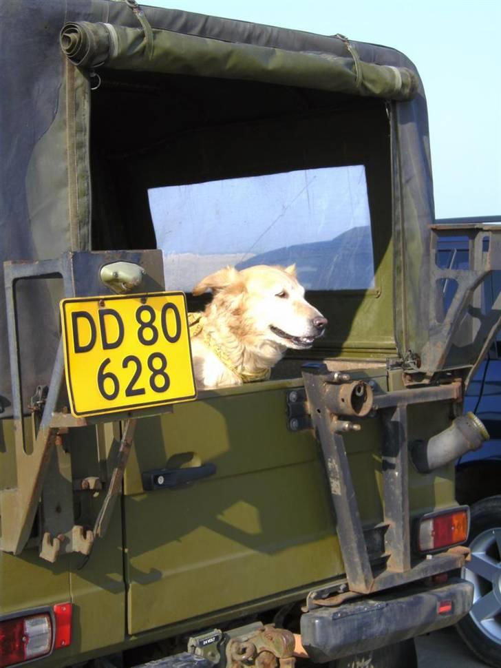 Rømø... 4x4, sol, sand og vand !! - UPS.. igen ! billede 12