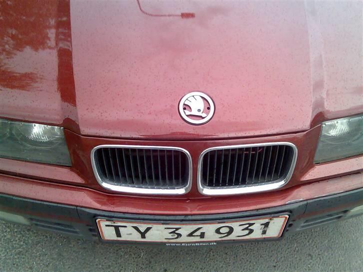 Lidt skæg, sjov og ballade billede 40