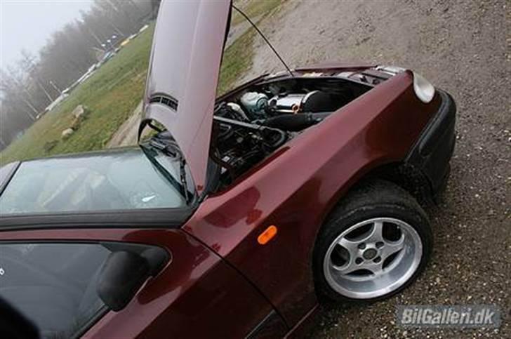 Lidt skæg, sjov og ballade billede 76