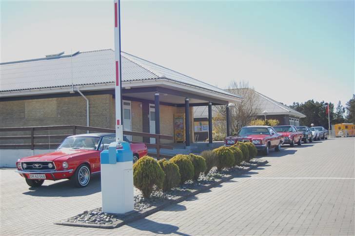 Forårsmønstring med American Wheels Aalborg billede 3