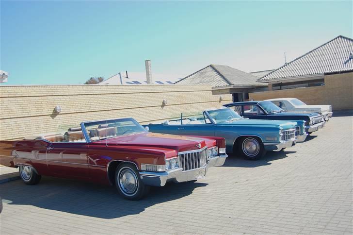 Forårsmønstring med American Wheels Aalborg billede 19