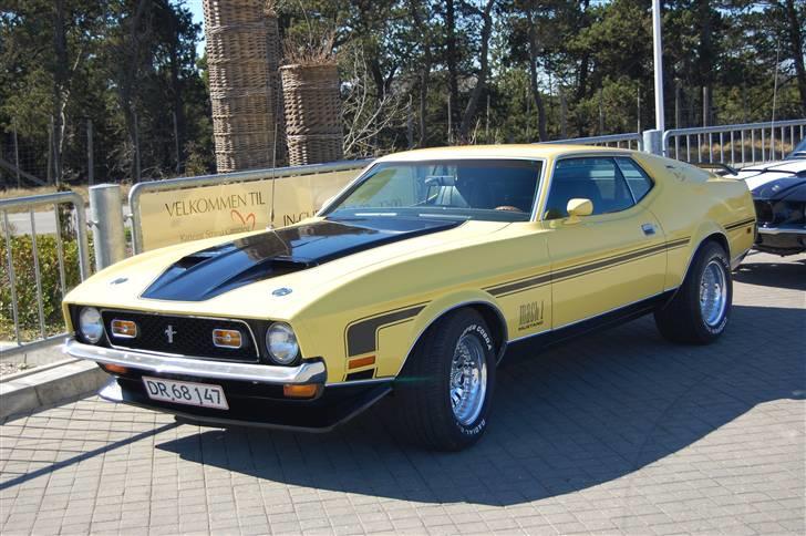 Forårsmønstring med American Wheels Aalborg billede 42