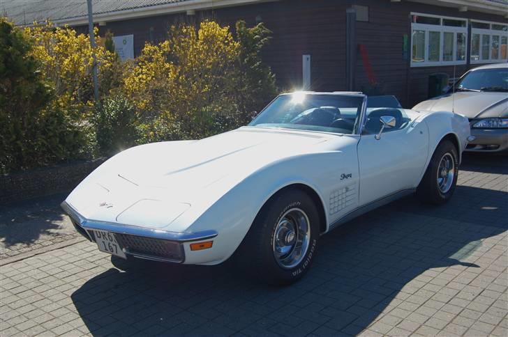 Forårsmønstring med American Wheels Aalborg billede 46