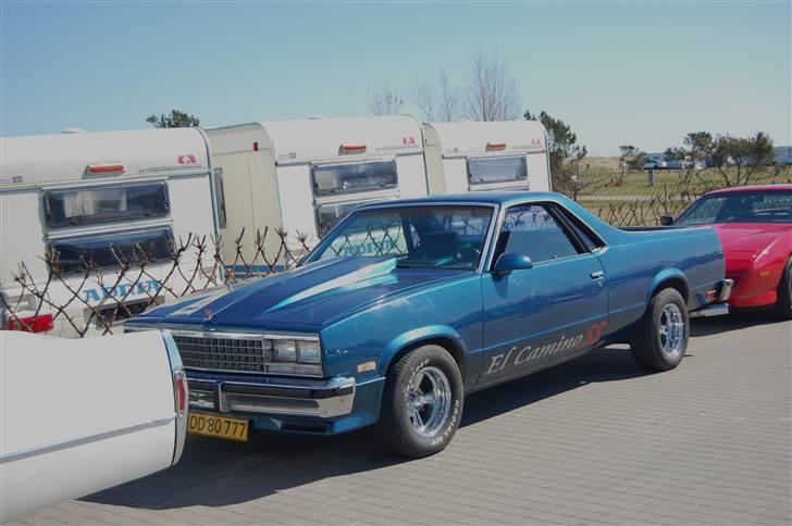 Forårsmønstring med American Wheels Aalborg billede 71