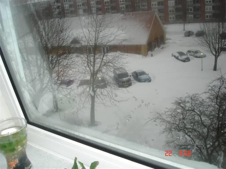 Inde i øgaden fra aalborg billede 3