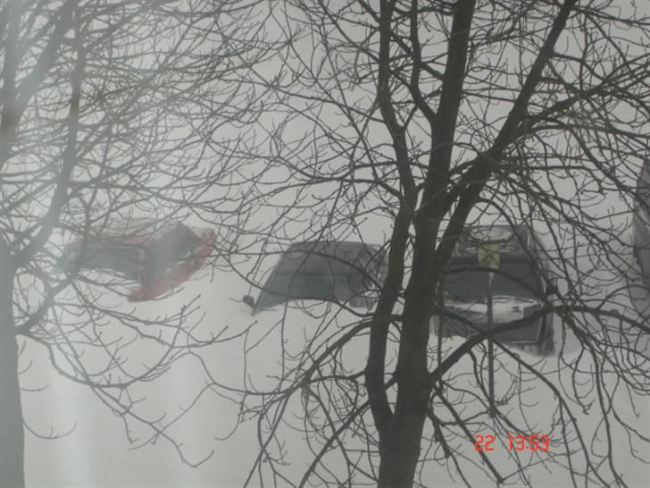 Inde i øgaden fra aalborg billede 7