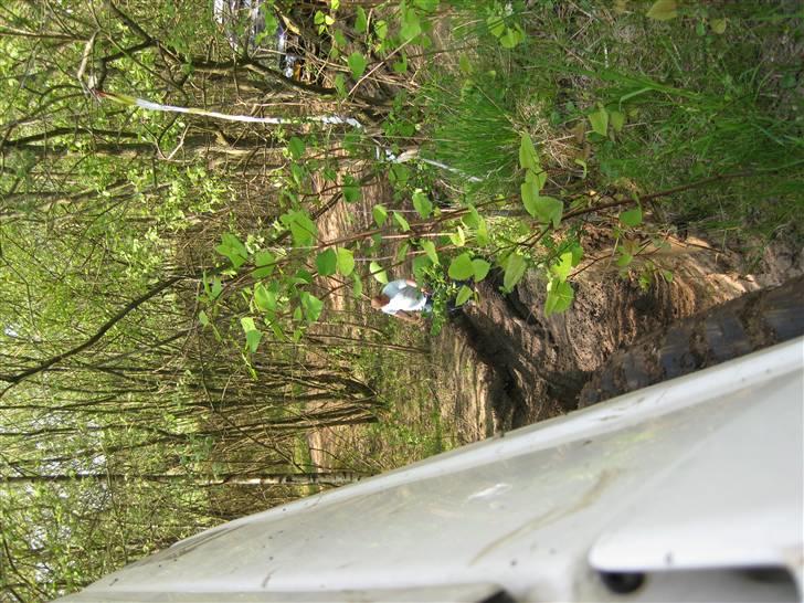 Seest Grusgrav med SORD billede 7