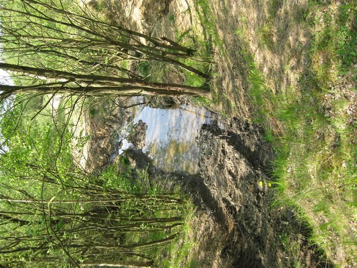 Seest Grusgrav med SORD billede 15