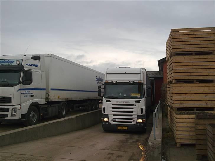 Billeder fra mine ture hos VB Transport - Ude og læsse kartoffeler i Ilskov billede 24