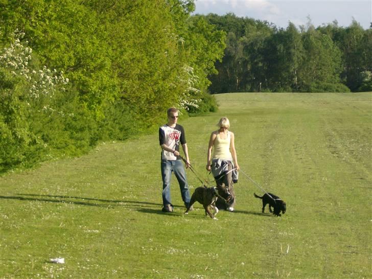 Tyson, Nova, Pine og Plage billede 46