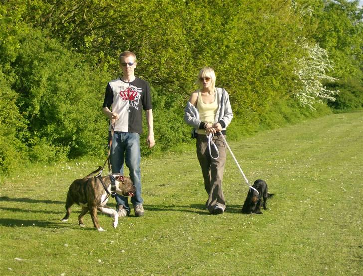 Tyson, Nova, Pine og Plage billede 47