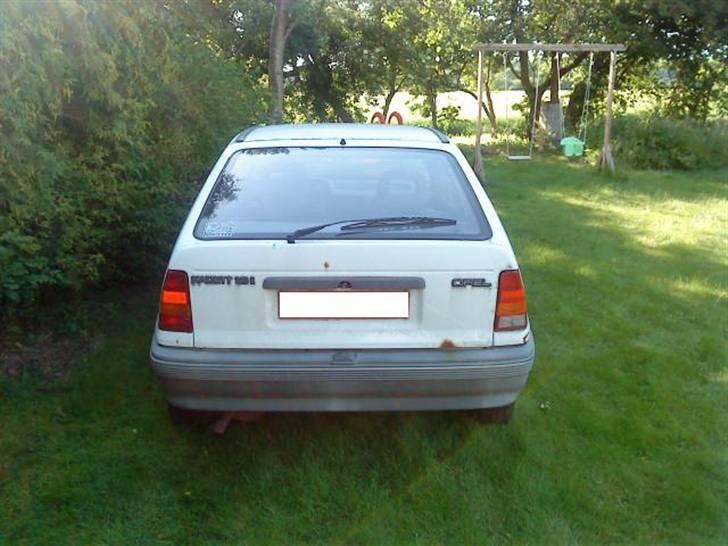 Hvad man ikke kan med en børste, sæbevand og en haveslange - RØVEN FØR billede 3