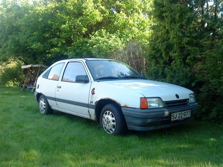 Hvad man ikke kan med en børste, sæbevand og en haveslange - HØJRE SIDE FØR billede 5